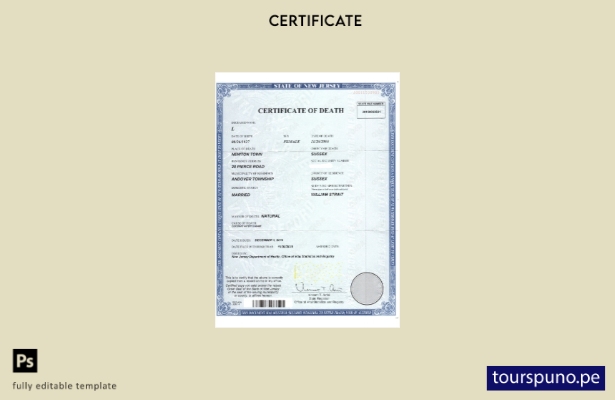 listo para imprimir plantilla de certificado de defunción de Nueva Jersey de EE.